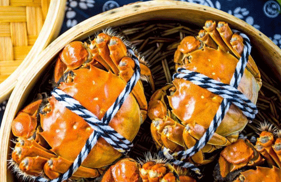 嗨翻618|鎖定帥豐直播間，開啟視覺+味覺盛宴！