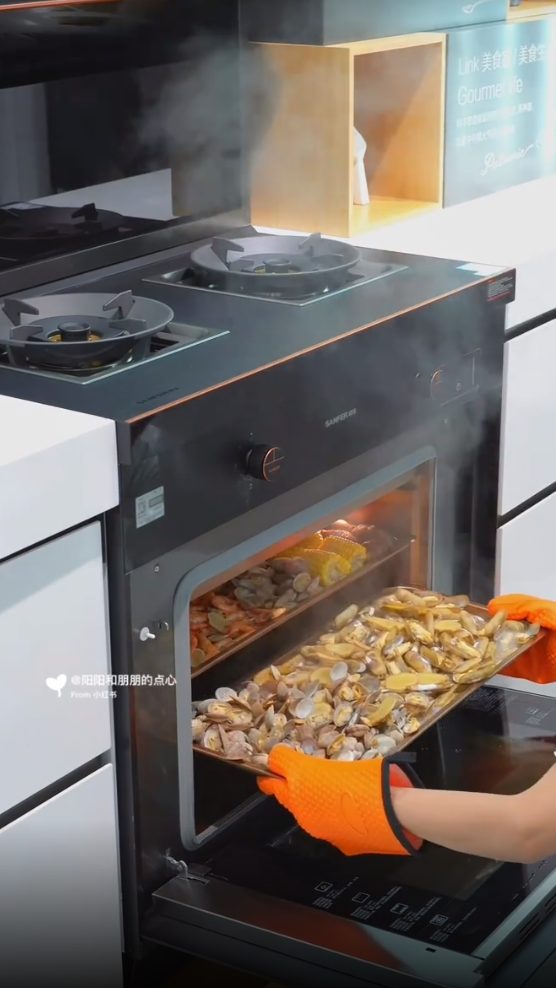 帥豐X6集成灶爆火出圈！抖音、小紅書達人合力推薦！