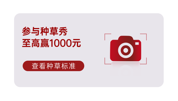 集成灶十大品牌帥豐電器雙11即刻出發(fā)，狂歡先人一步??！