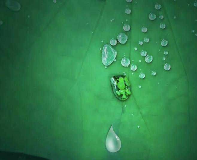 帥豐集成灶易清潔的秘密，探索晶鋼王面板的神奇“魔法”