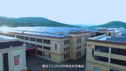 護(hù)生態(tài)，行低碳，集成灶品牌帥豐在行動！