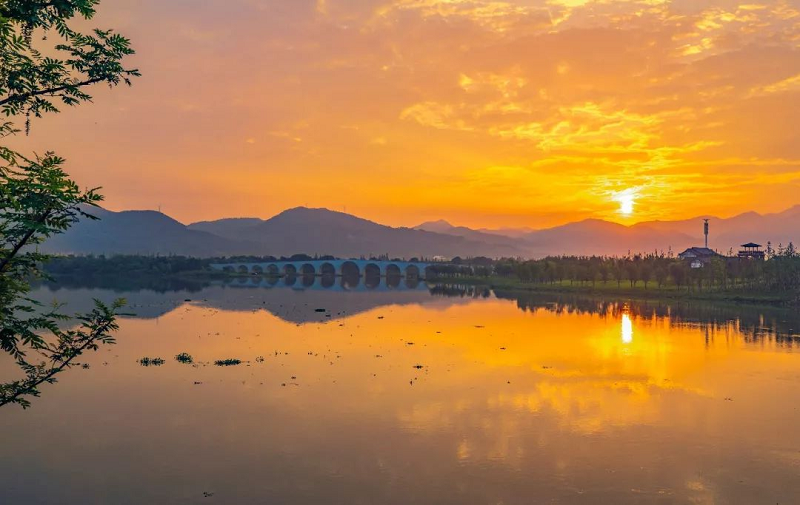 定了！定了??！帥豐電器獨家冠名的氧氣BAOBAO音樂節(jié)來啦！