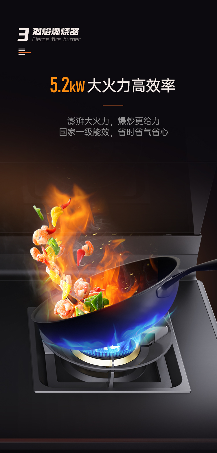 帥豐Z6 筑·夢 蒸烤獨(dú)立集成烹飪中心