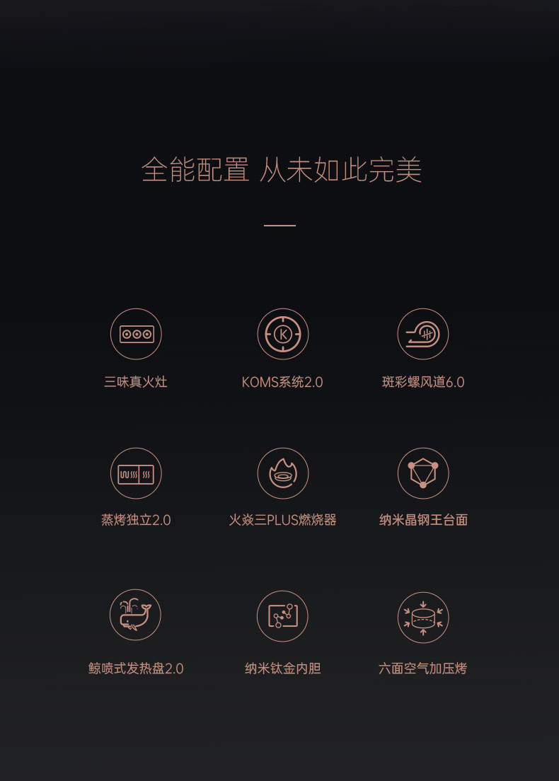 帥豐星辰X1雙子星蒸烤獨(dú)立(100Pro)集成灶