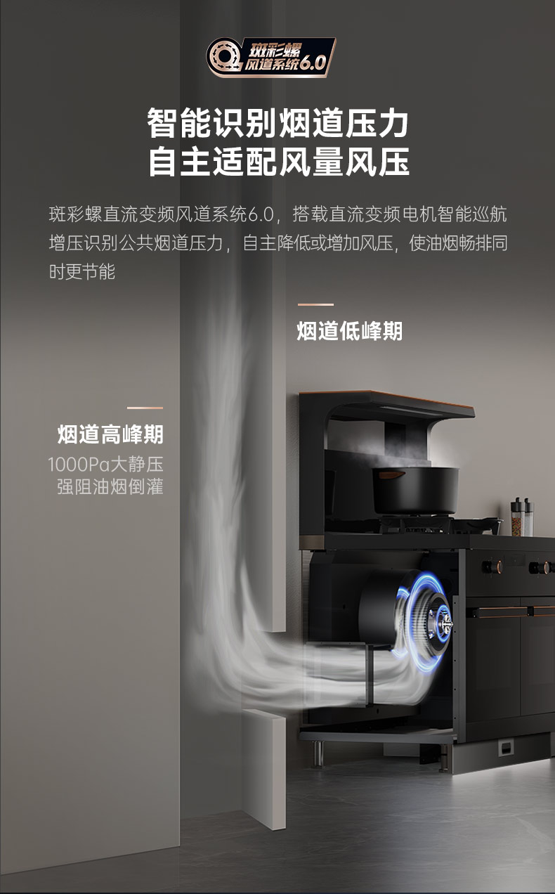 帥豐星辰X1雙子星蒸烤獨(dú)立(100Pro)集成灶