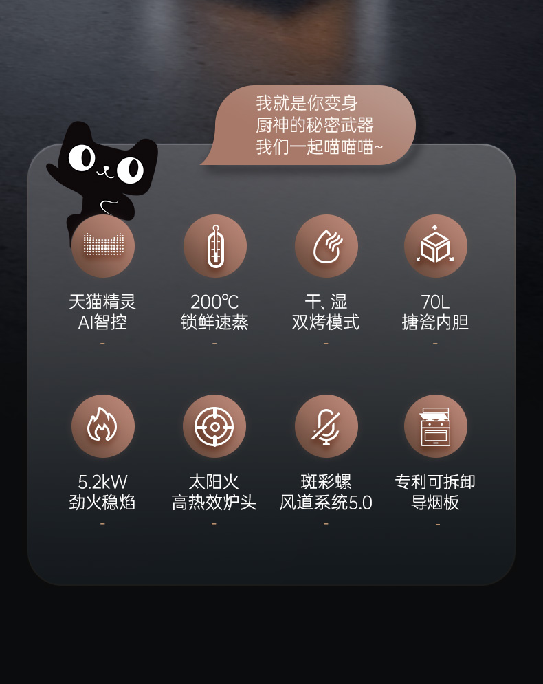 帥豐T1蒸烤一體集成灶