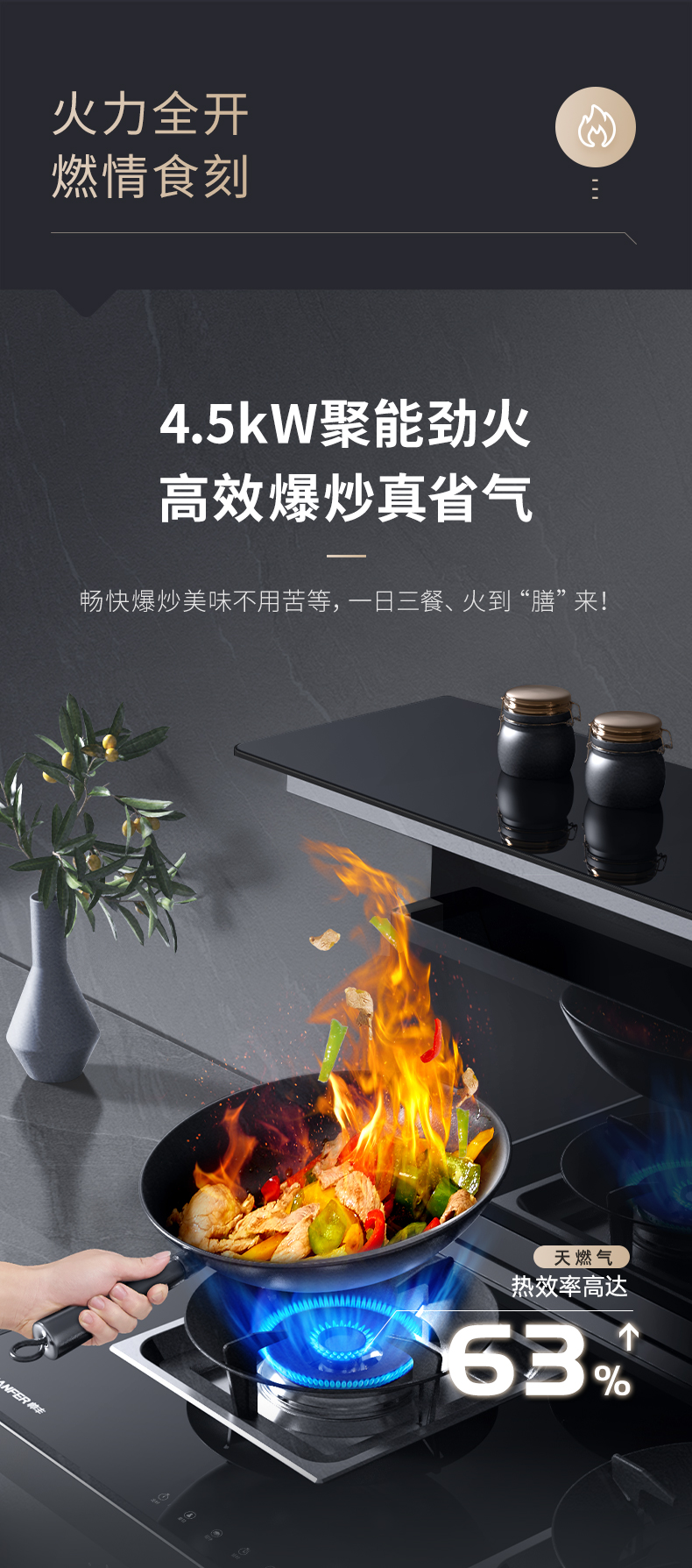 帥豐J2靈耀消毒柜款集成灶