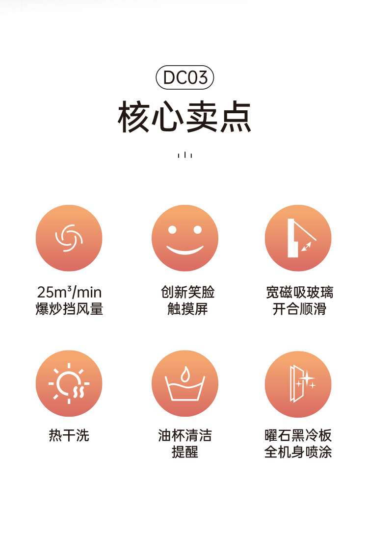 帥豐DC03上排煙機(jī)煙機(jī)灶具