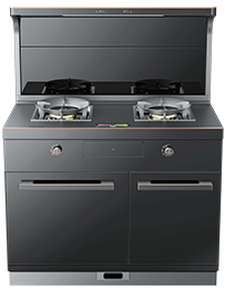 星辰X1雙子星蒸烤獨立(100S)