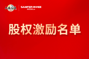 2021年限制性股票激勵計(jì)劃預(yù)留授予激勵對象名單