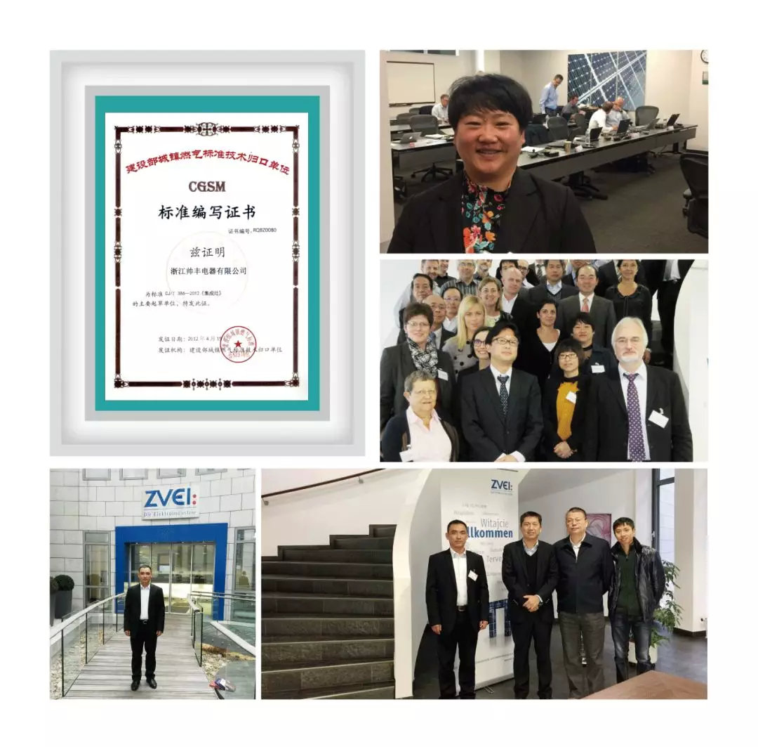 喜報(bào)：帥豐入選中國(guó)標(biāo)準(zhǔn)化協(xié)會(huì)電器電子標(biāo)準(zhǔn)化分會(huì)常務(wù)理事單位！