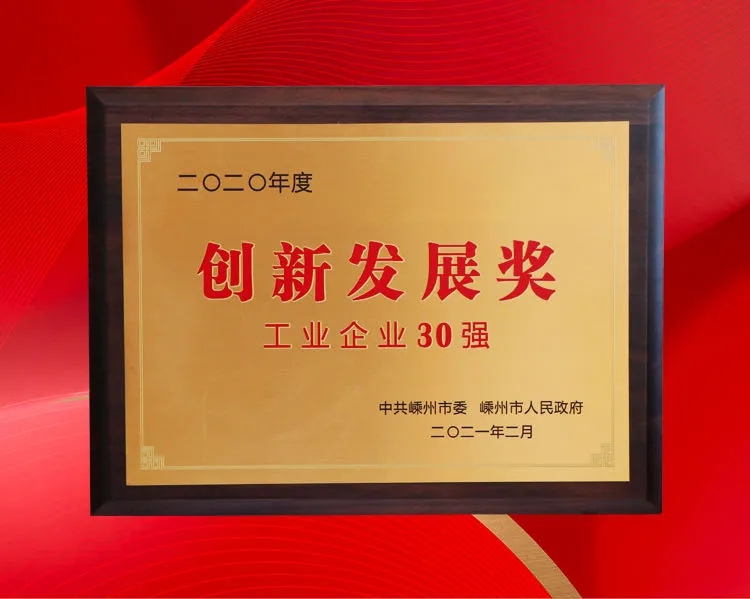 開門紅！帥豐斬獲“工業(yè)企業(yè)30強”、“經(jīng)濟發(fā)展功臣”等多項大獎