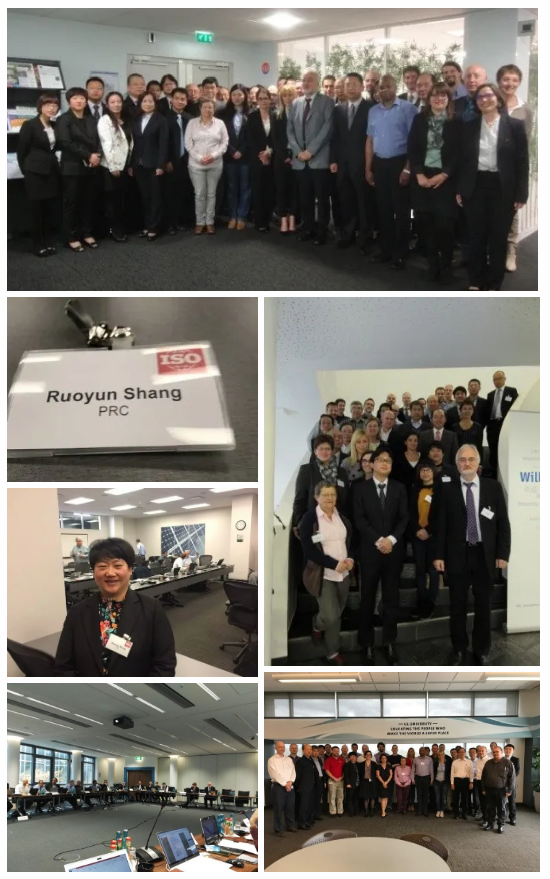 集成灶領軍品牌帥豐成首批省級標準國際化試點基地，加入產(chǎn)業(yè)國際化步伐